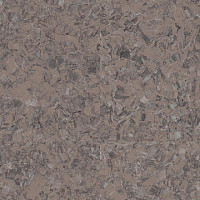 Линолеум Tarkett iq Megalit GRAPHITE BROWN 0621 фото 1 | FLOORDEALER